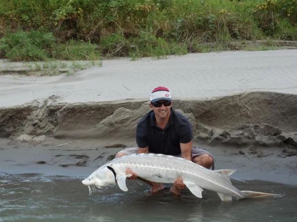 small sturgeon
caught and released