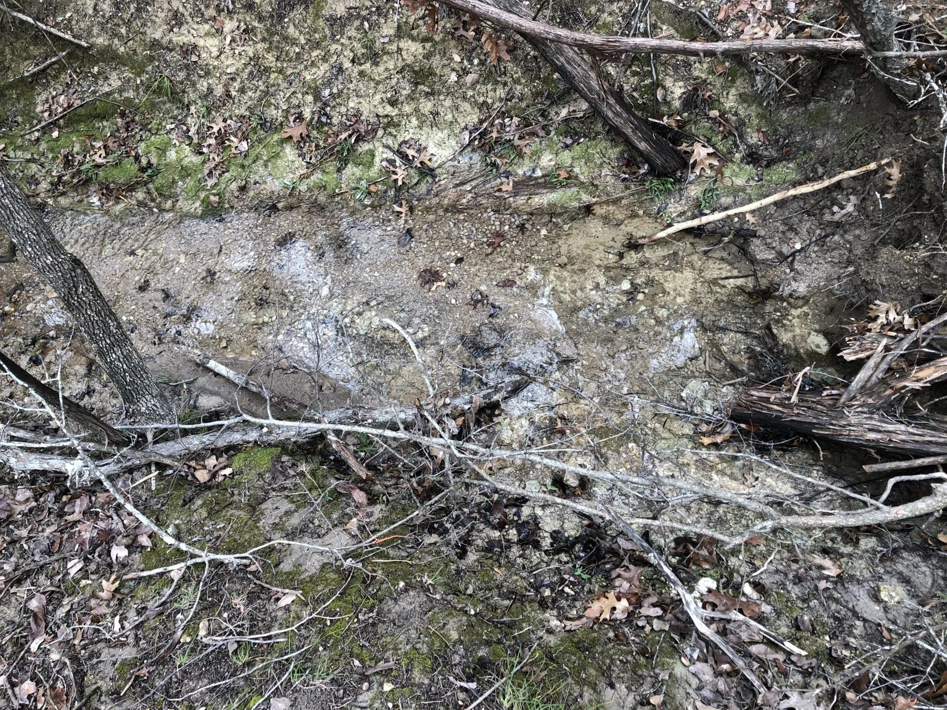 smaller creek