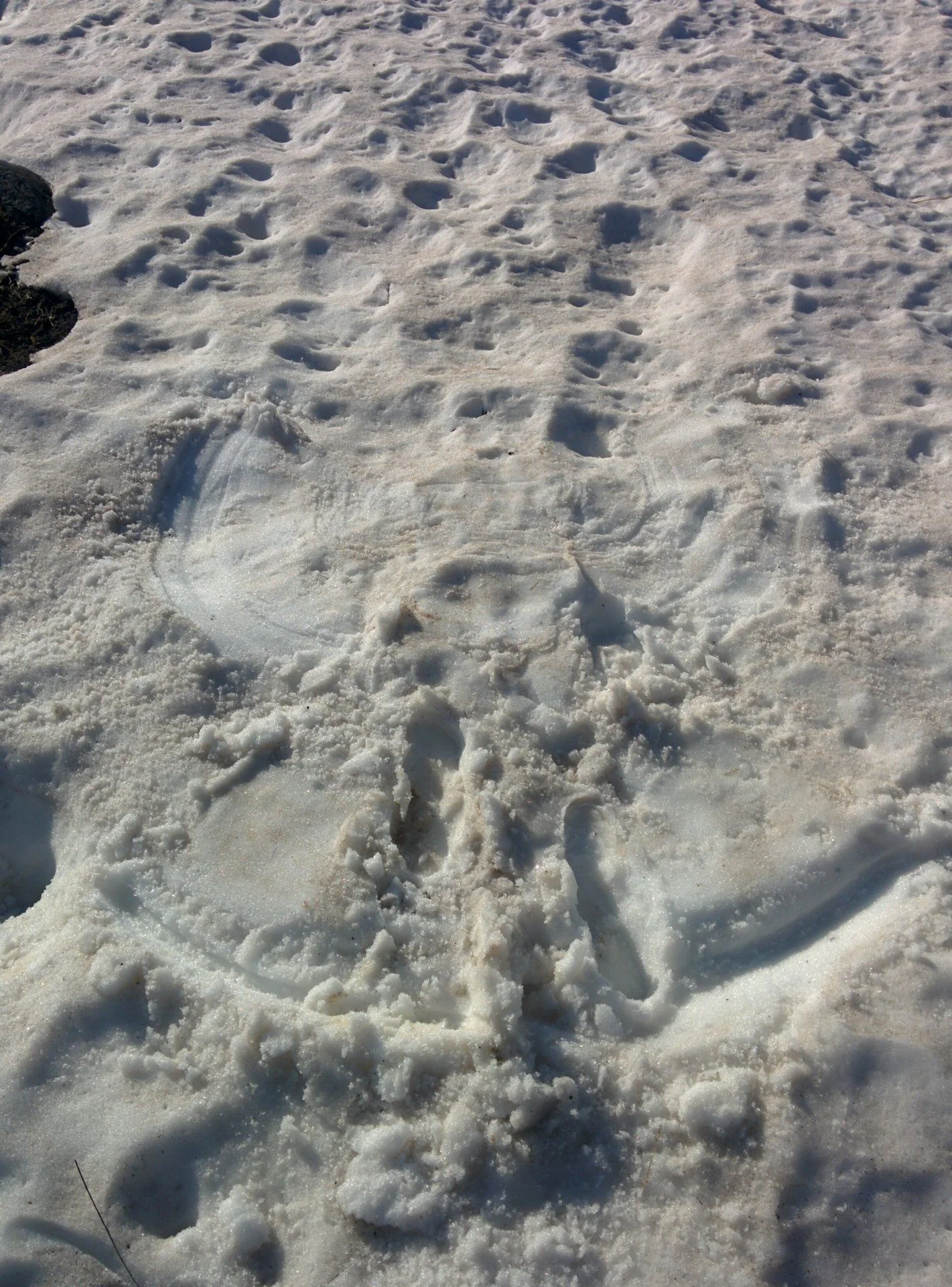 Snow angel @ 12K'