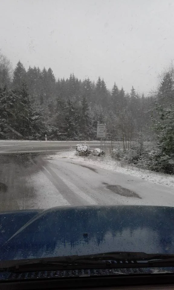 snow1