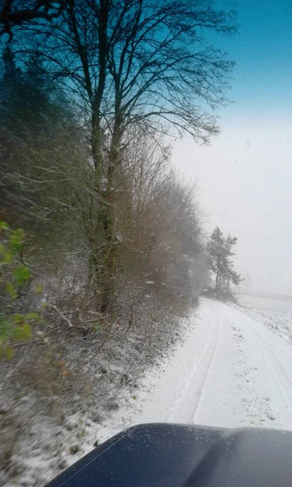 snow4