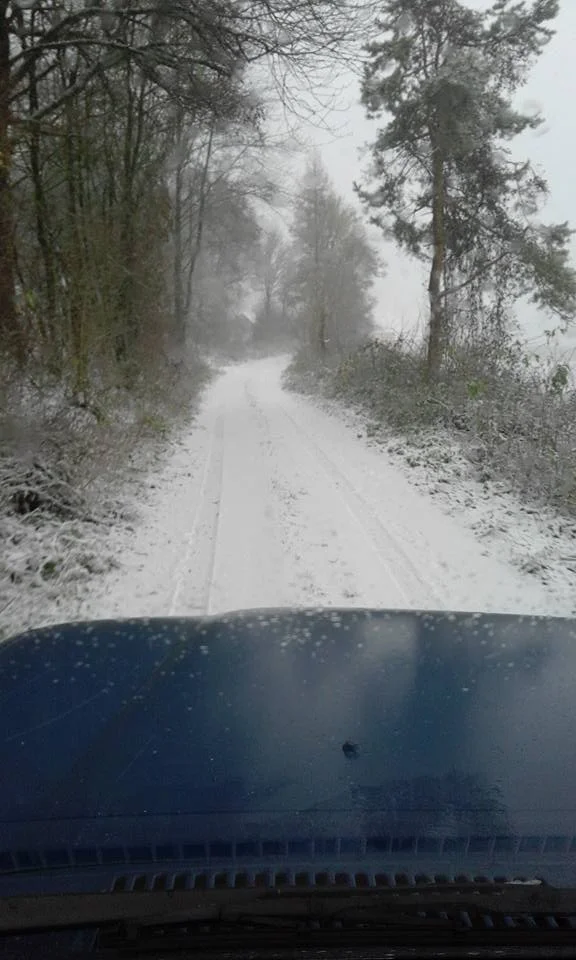 snow5