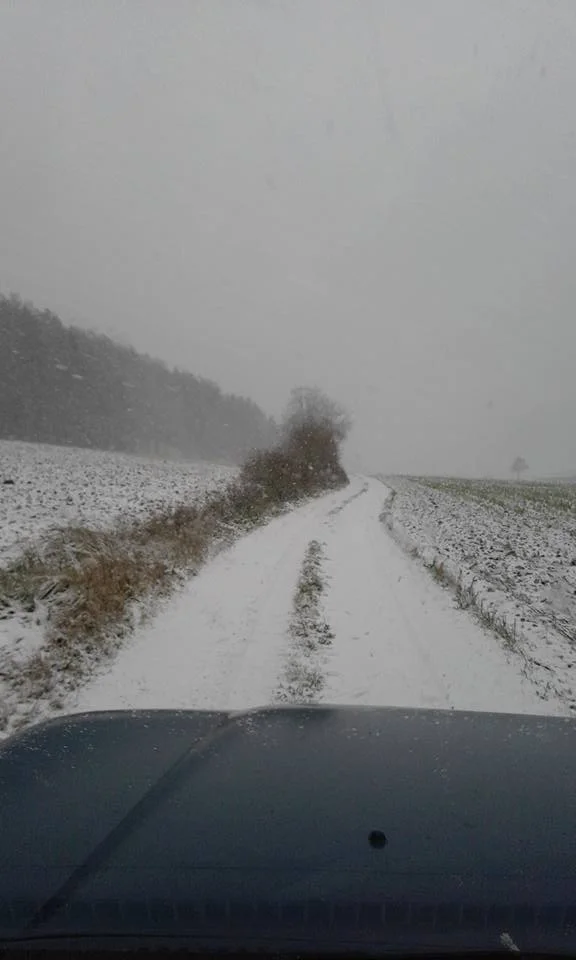 snow6