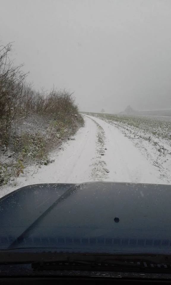 snow7