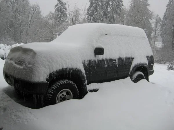 snowcruizer