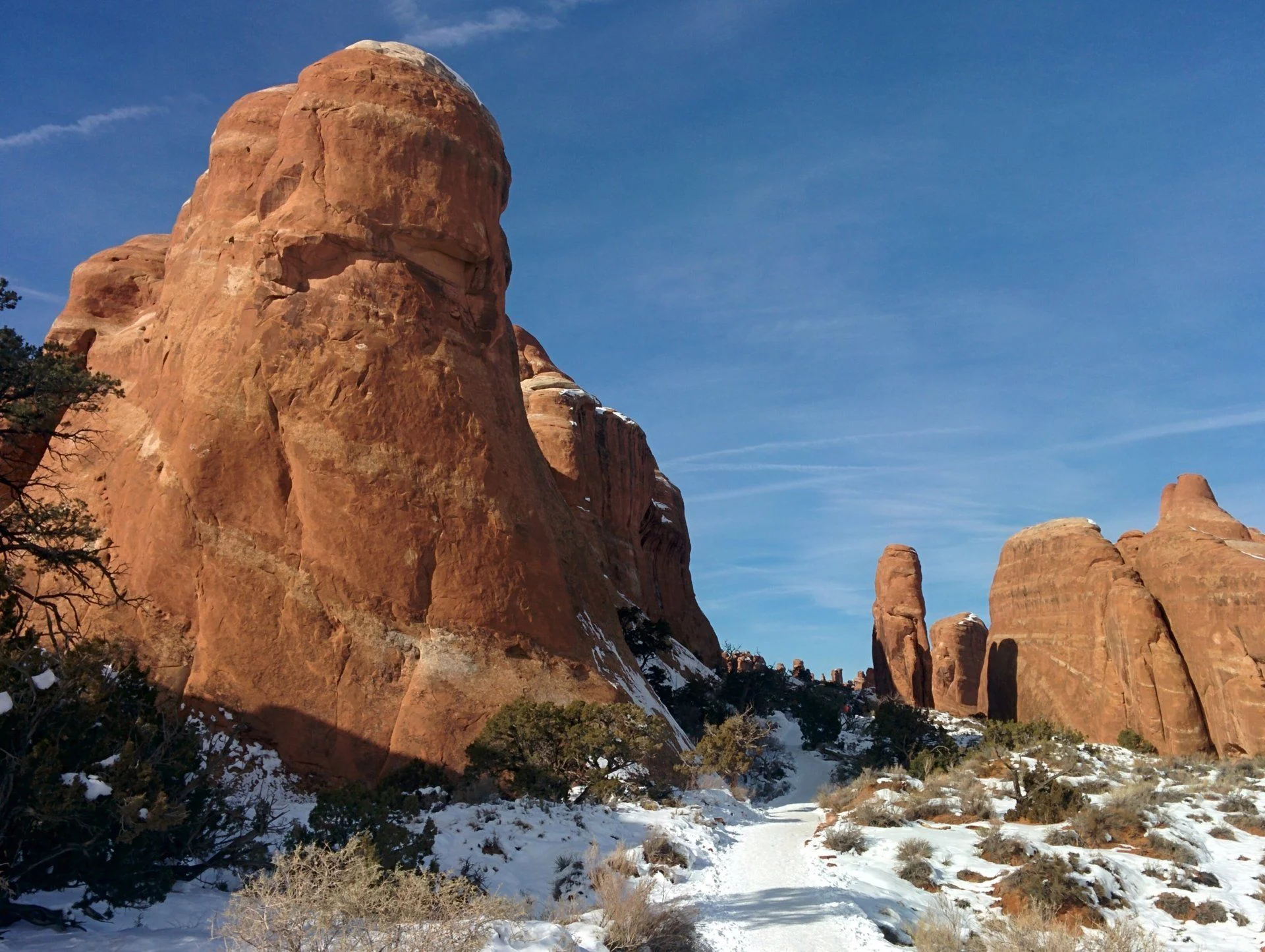 Snowy ARCH 2017-Landscape A trailB