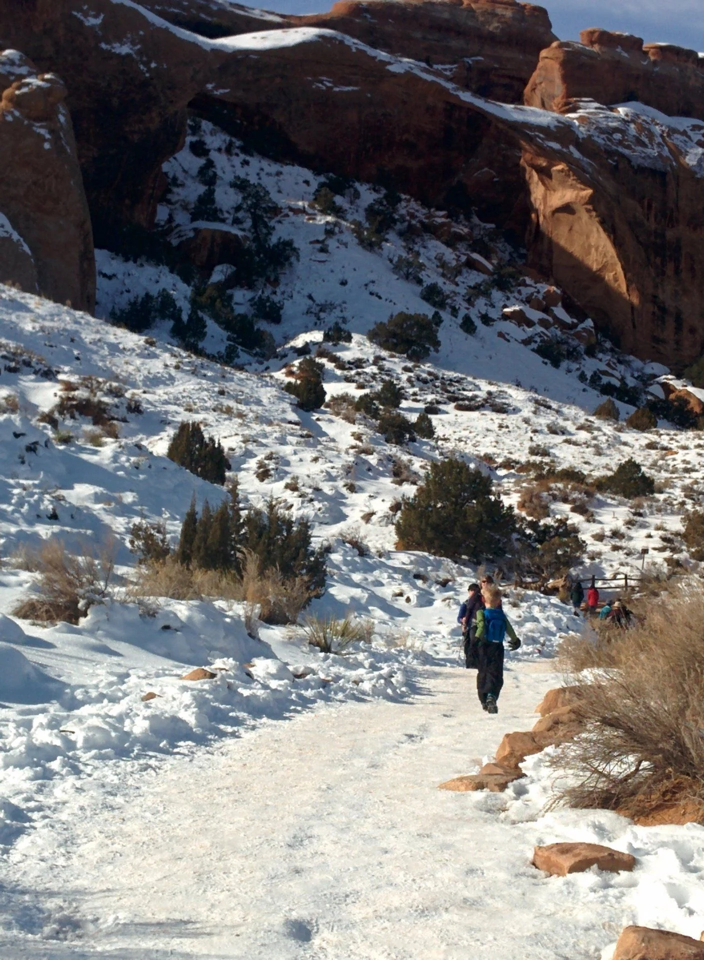 Snowy ARCH 2017-Landscape A trailC