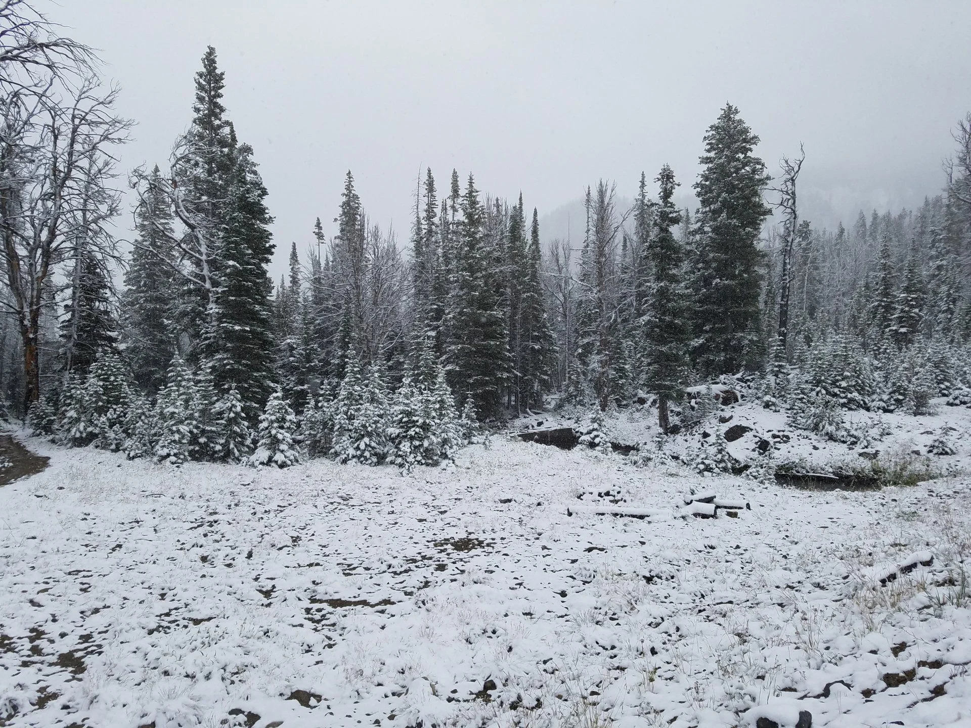 South Meadow Creek Lake "dam"