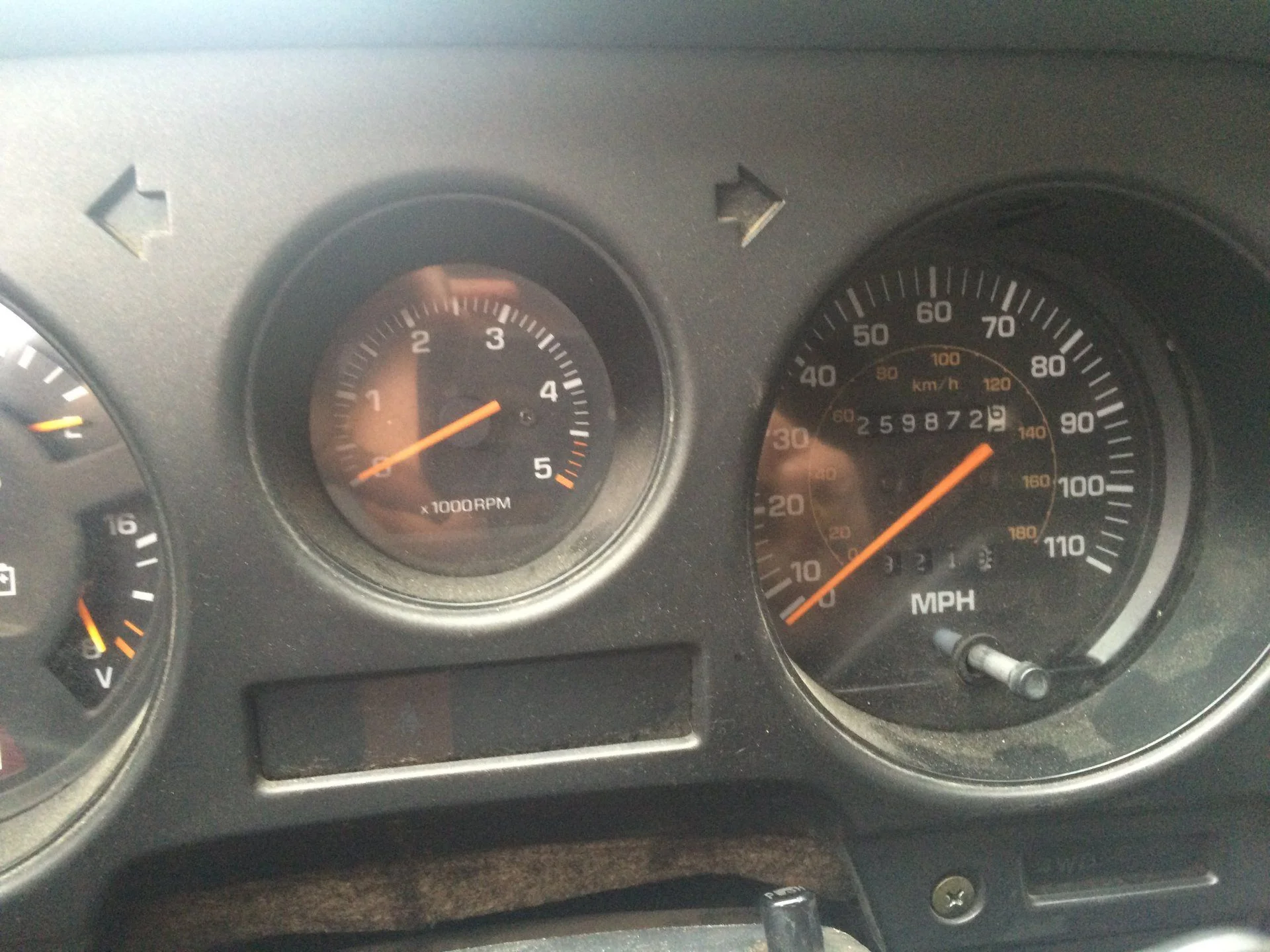 Speedo