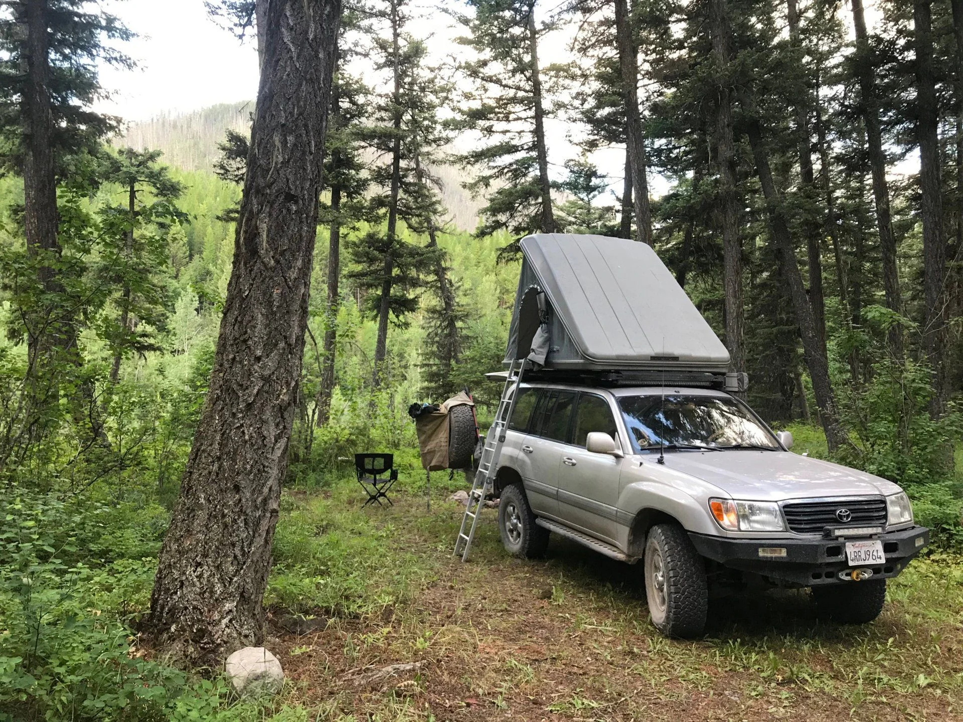 Spotted Bear River