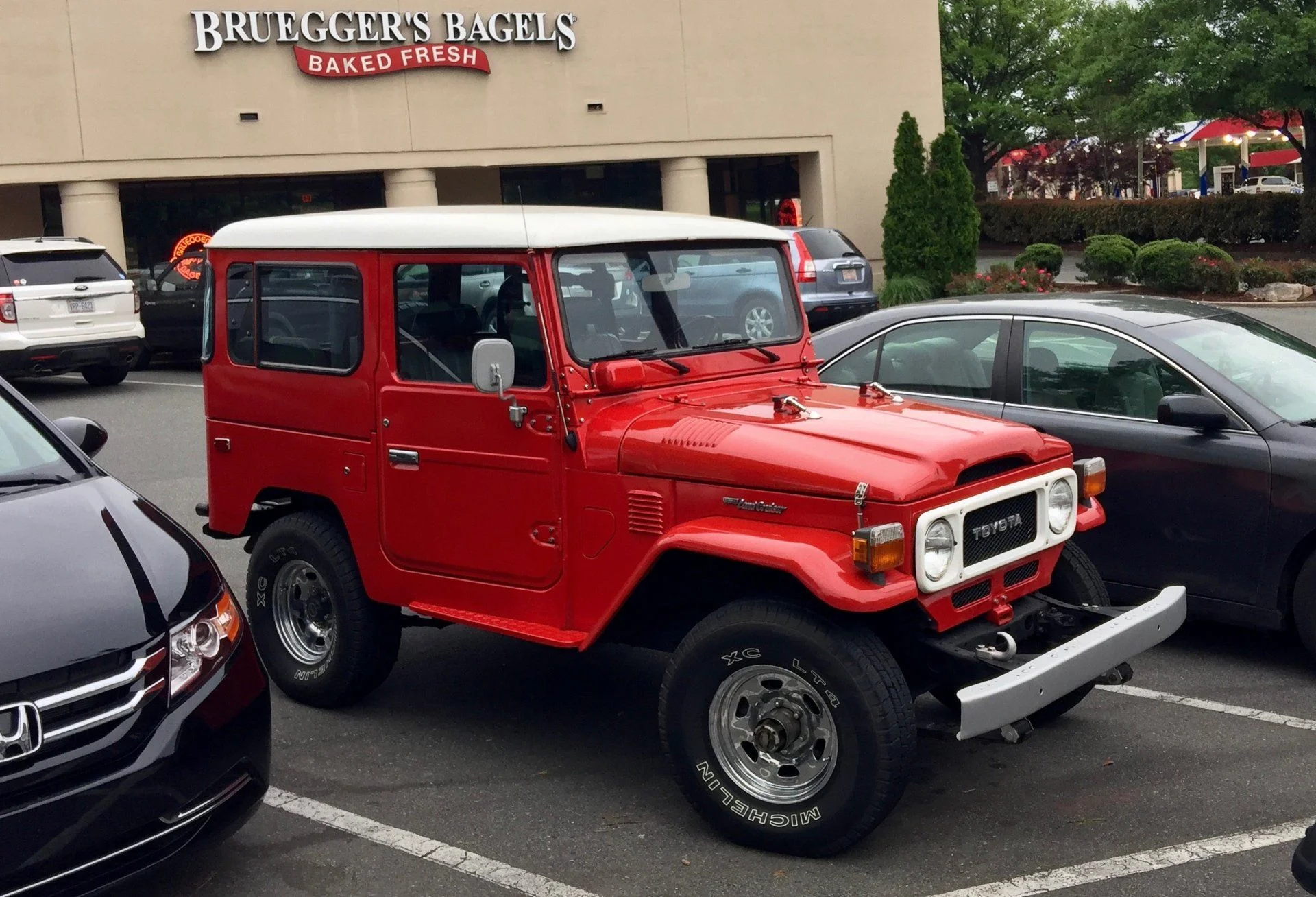 Spotted in Cotswold (Charlotte)