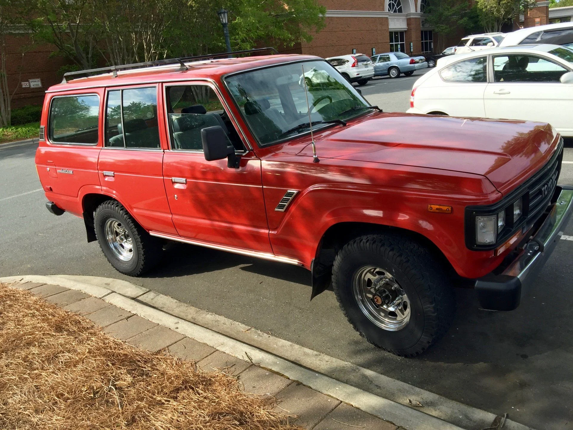 Spotted in Southpark (Charlotte)