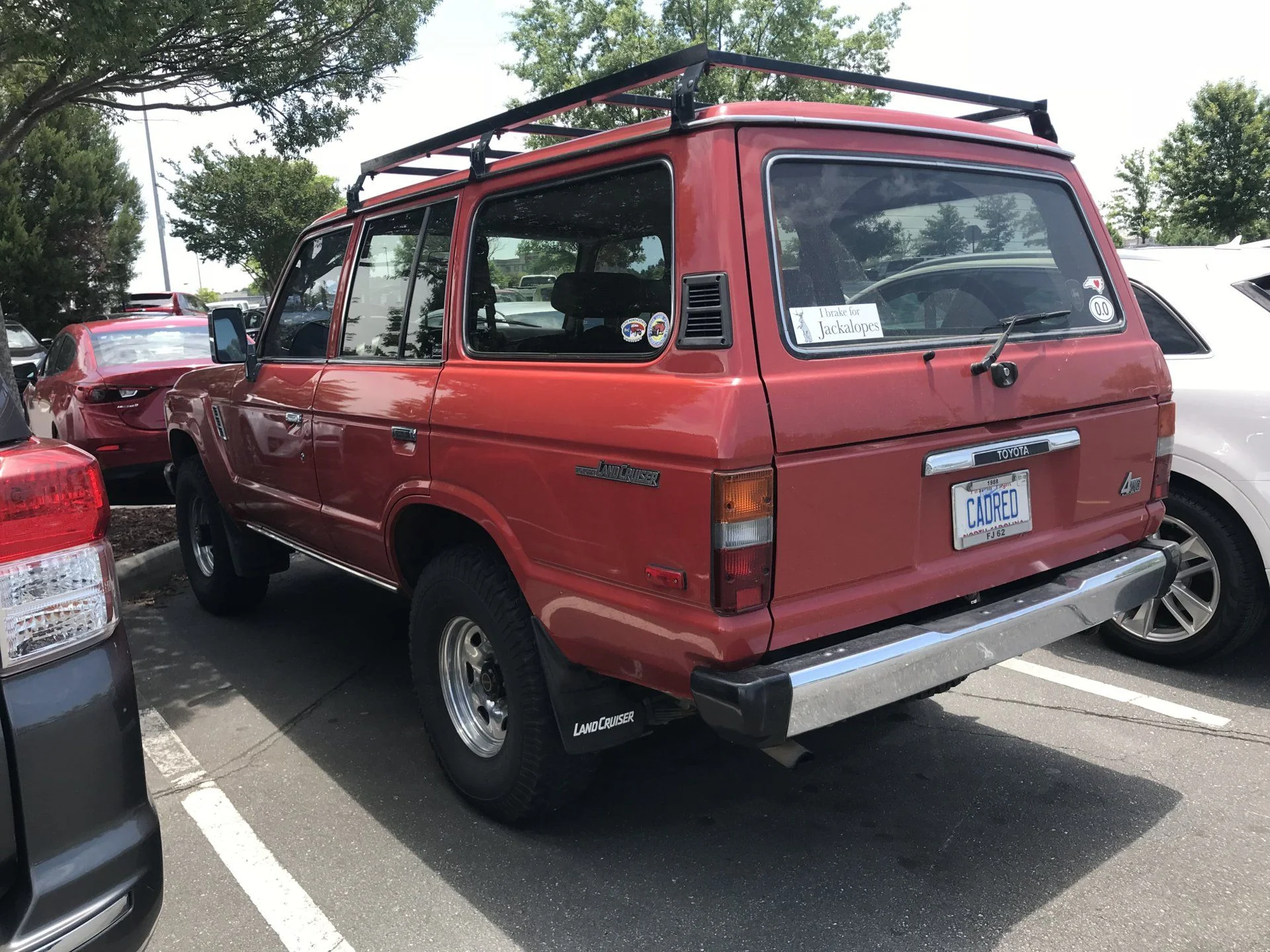 spotted