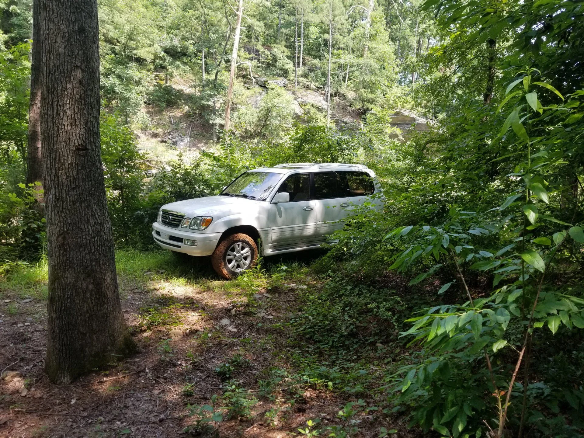 Sunday afternoon fun