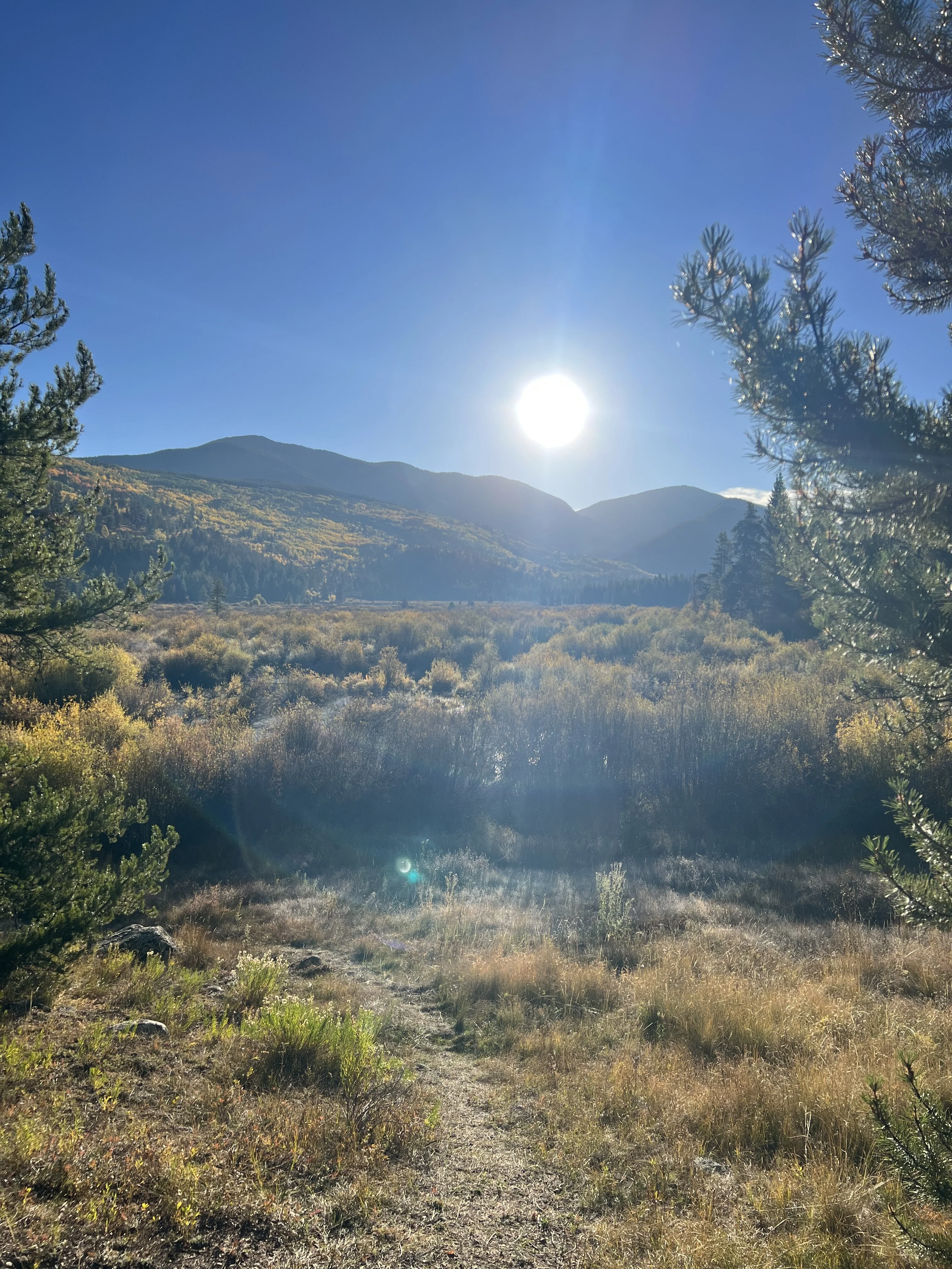 Sunrise Champman Campground