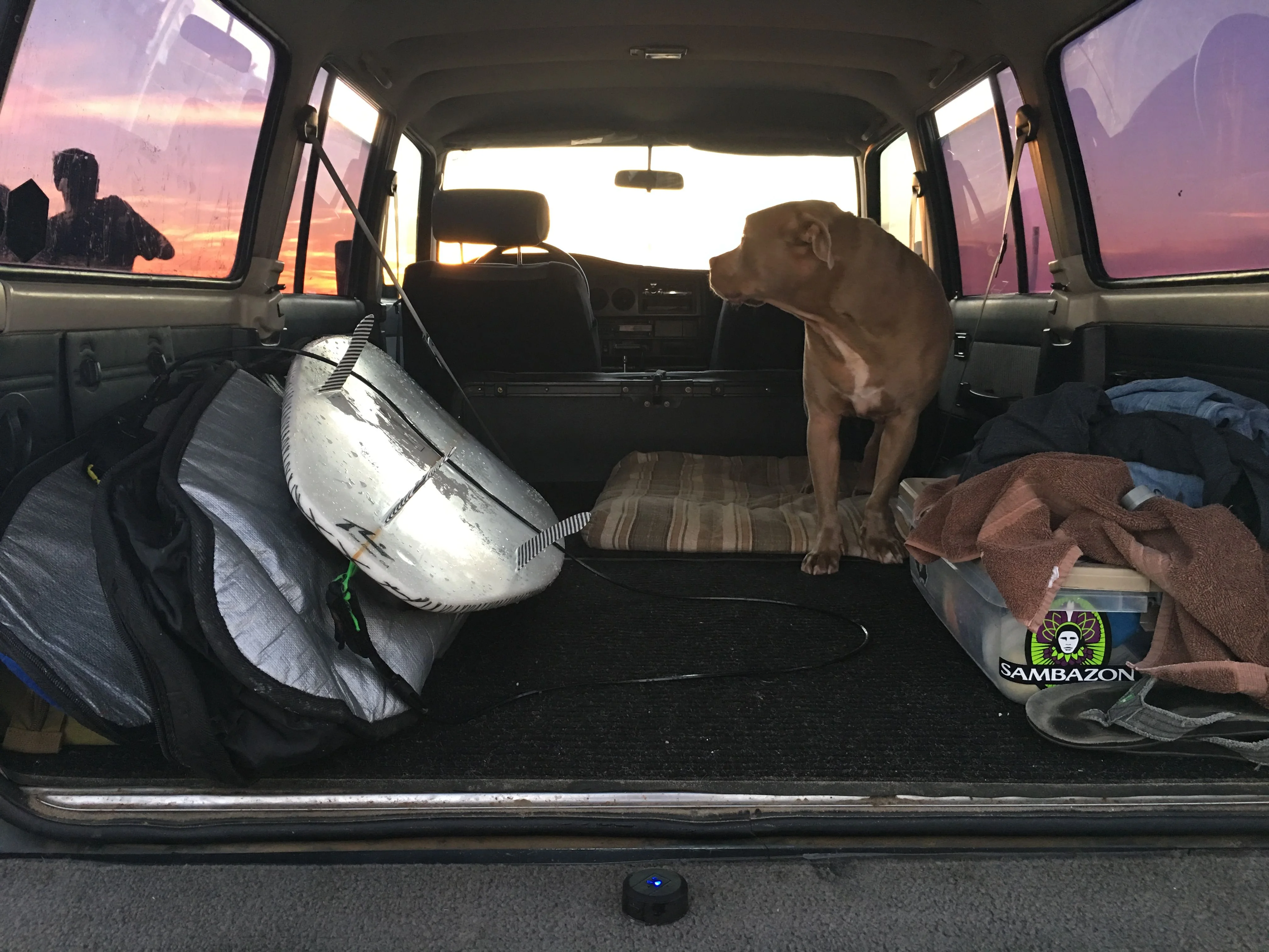 Surf, Dog, FJ62