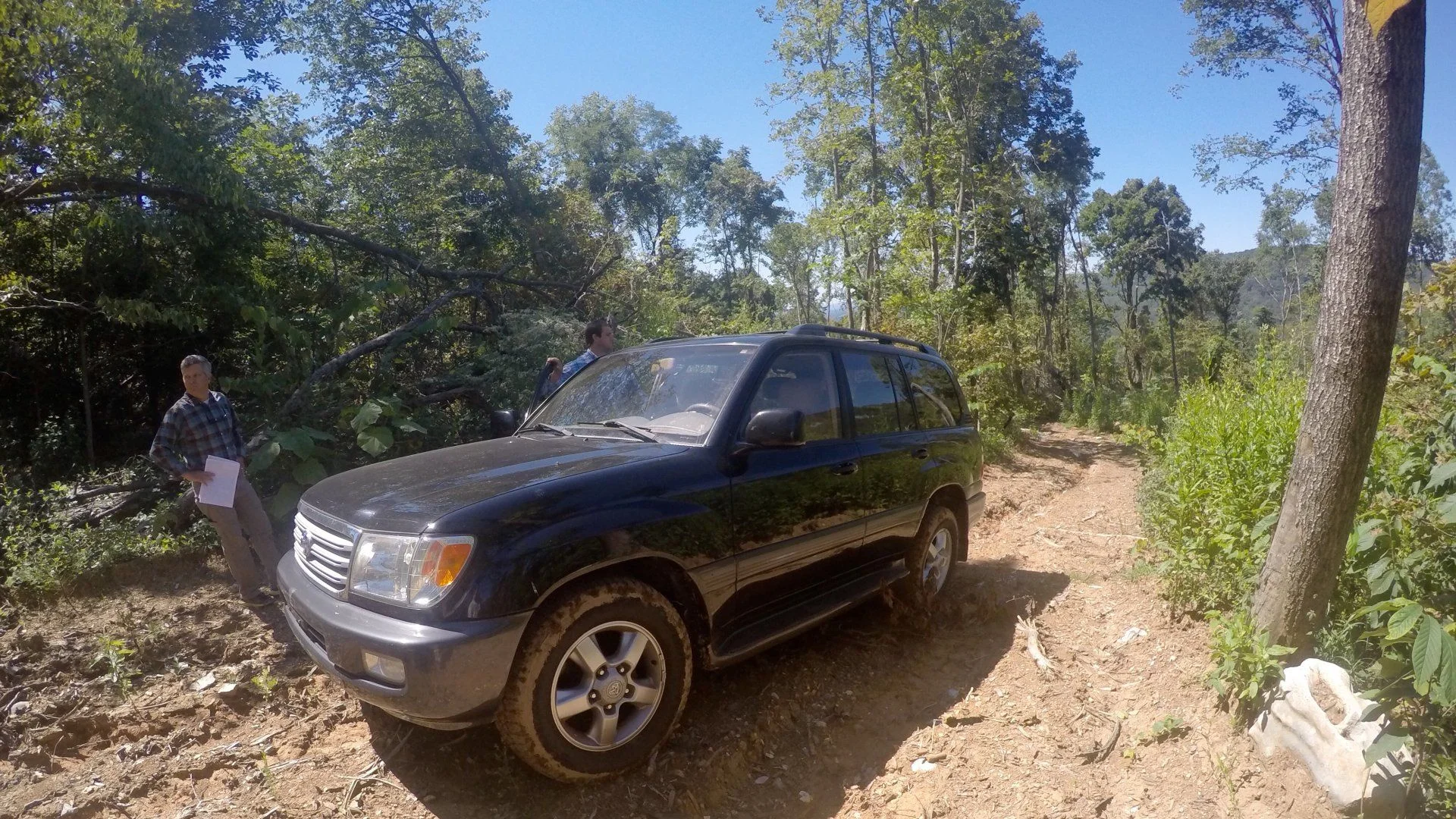 Tennessee trails
