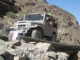 th IMG 1265