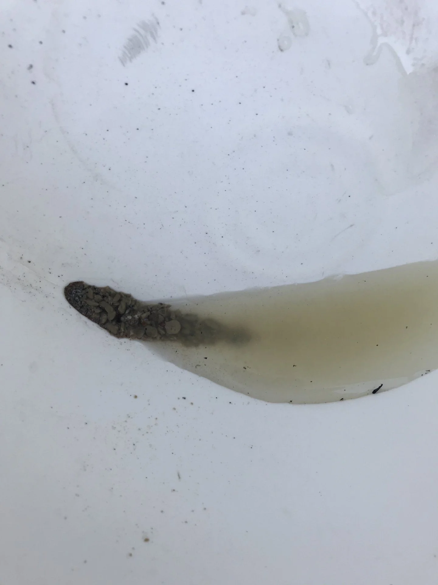 The crud that flushed out of my heater core. I have no idea what that could be, it looks like the stuff you sprinkle to soak up oil on the garage floor.
