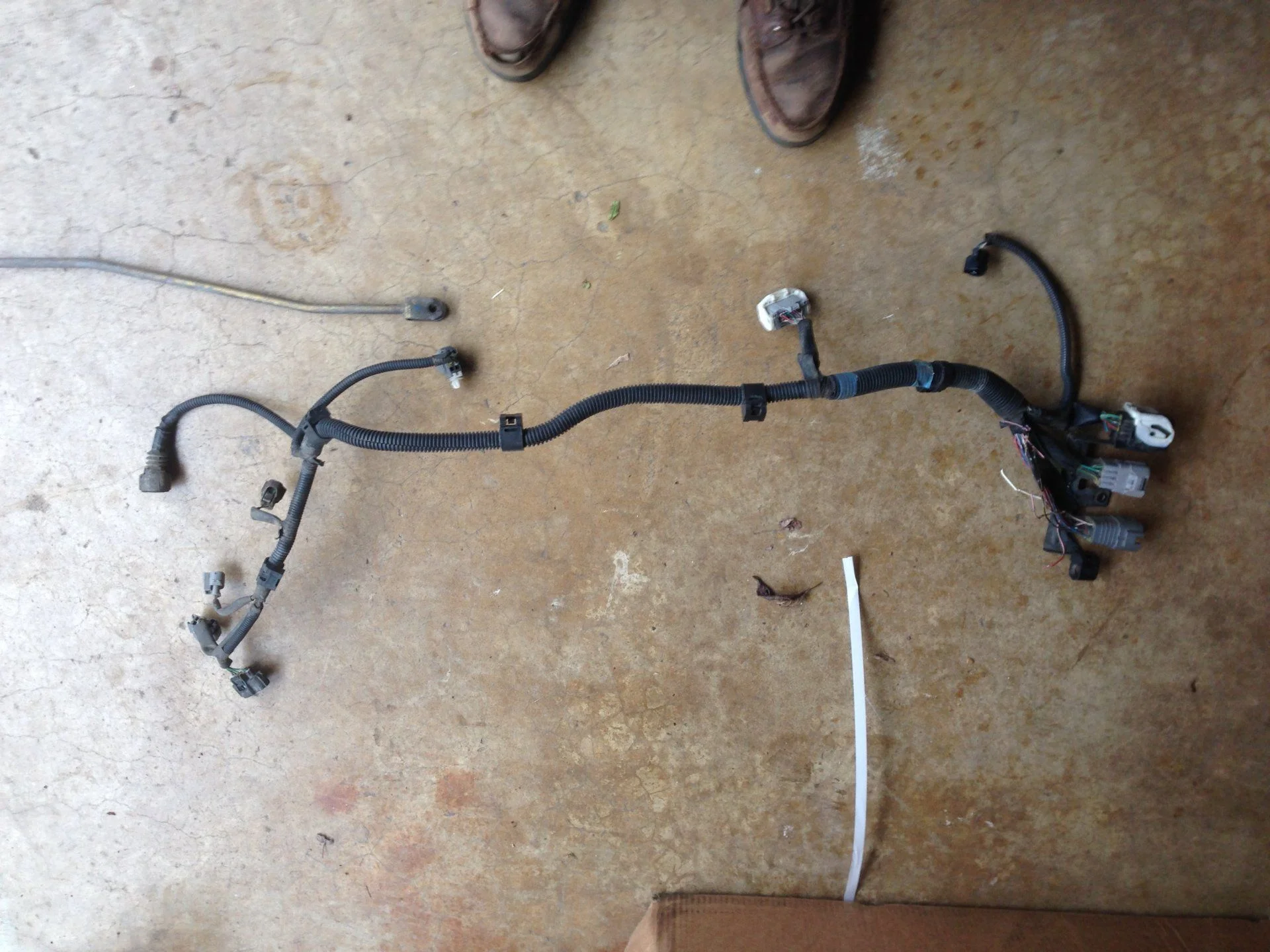 The Transmission Harness