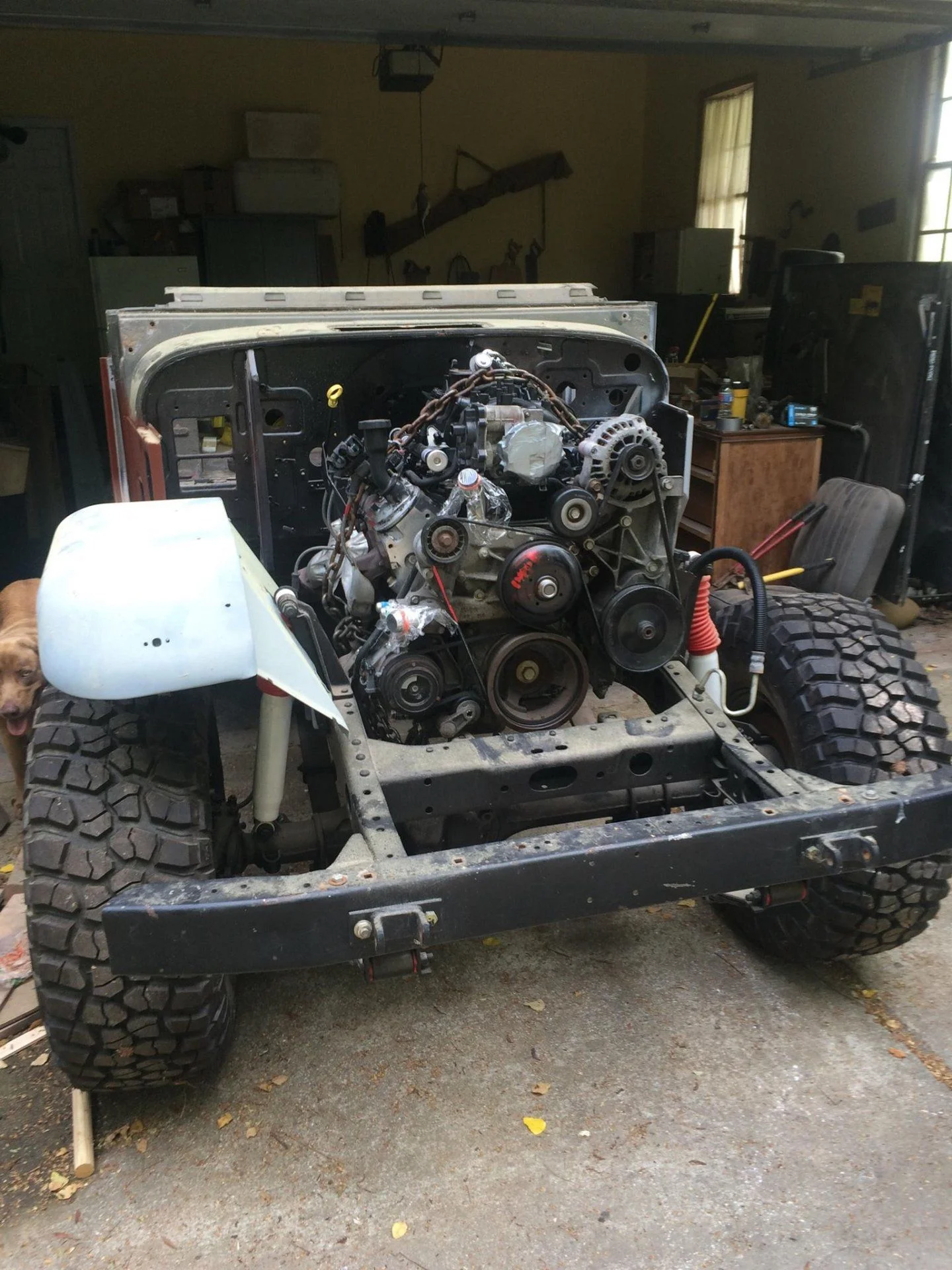 The war on rust