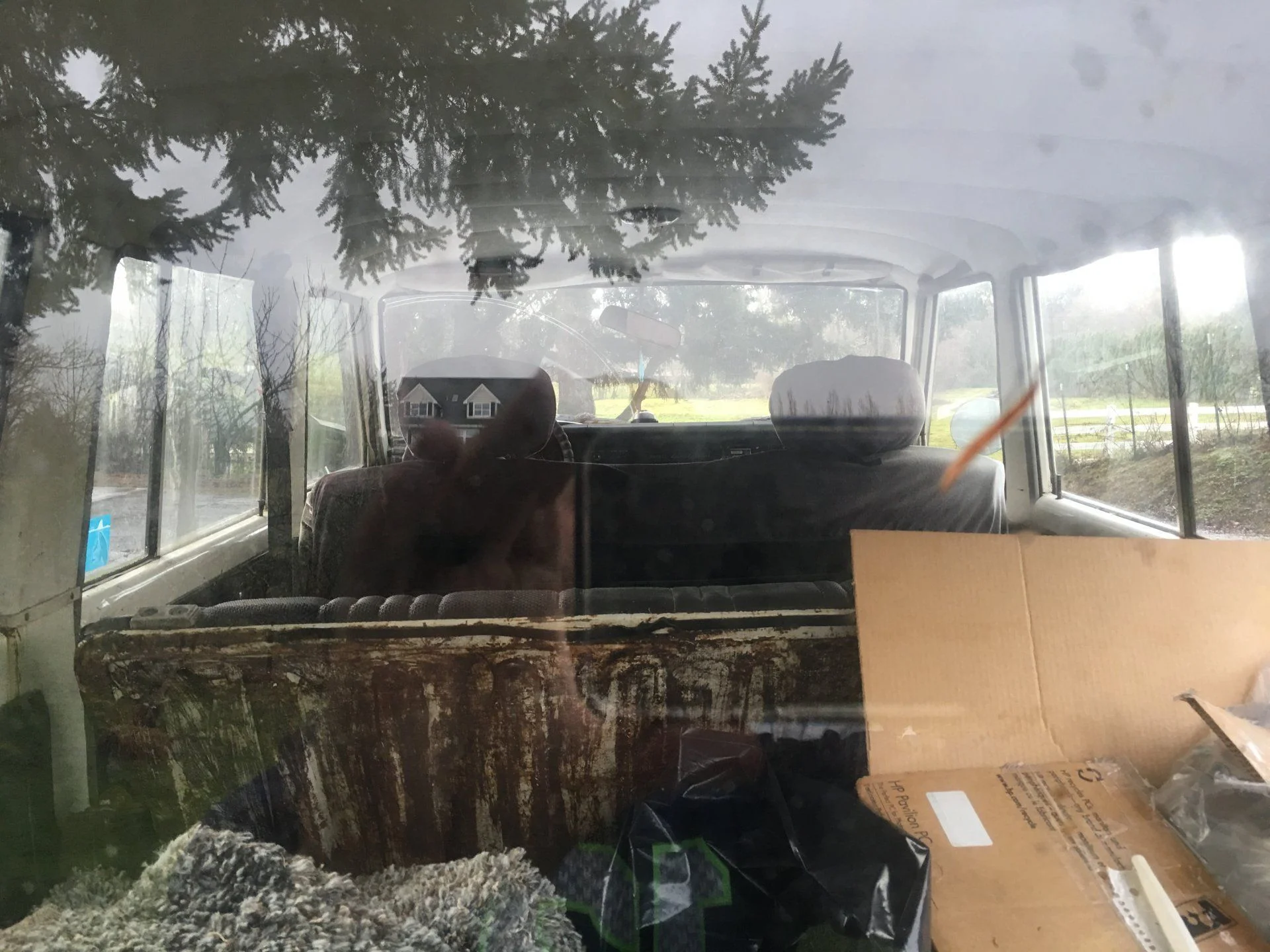 through back window
