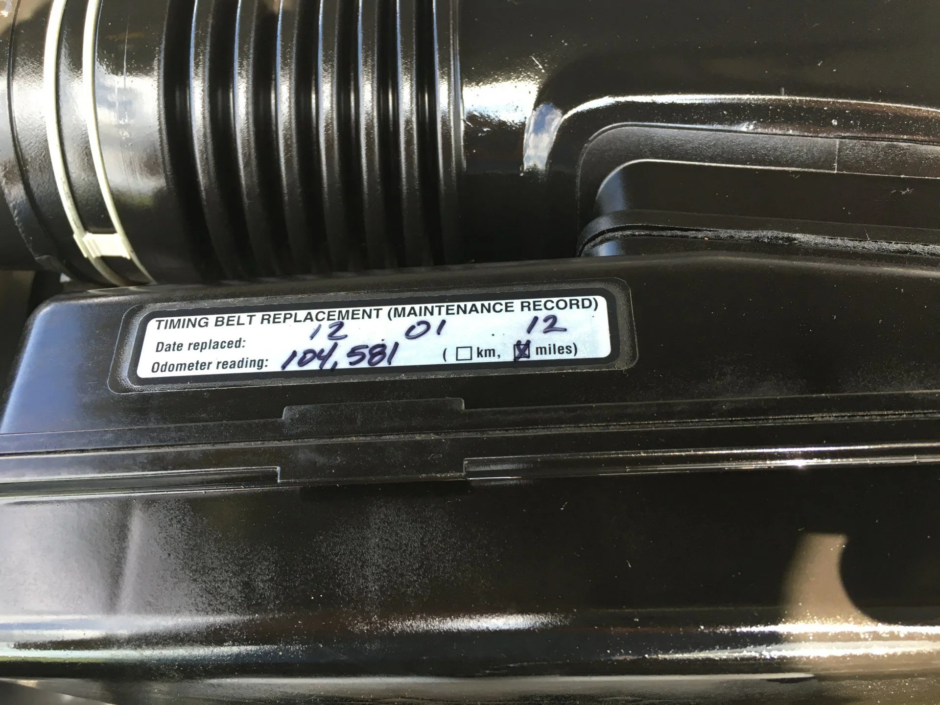 Timing Belt