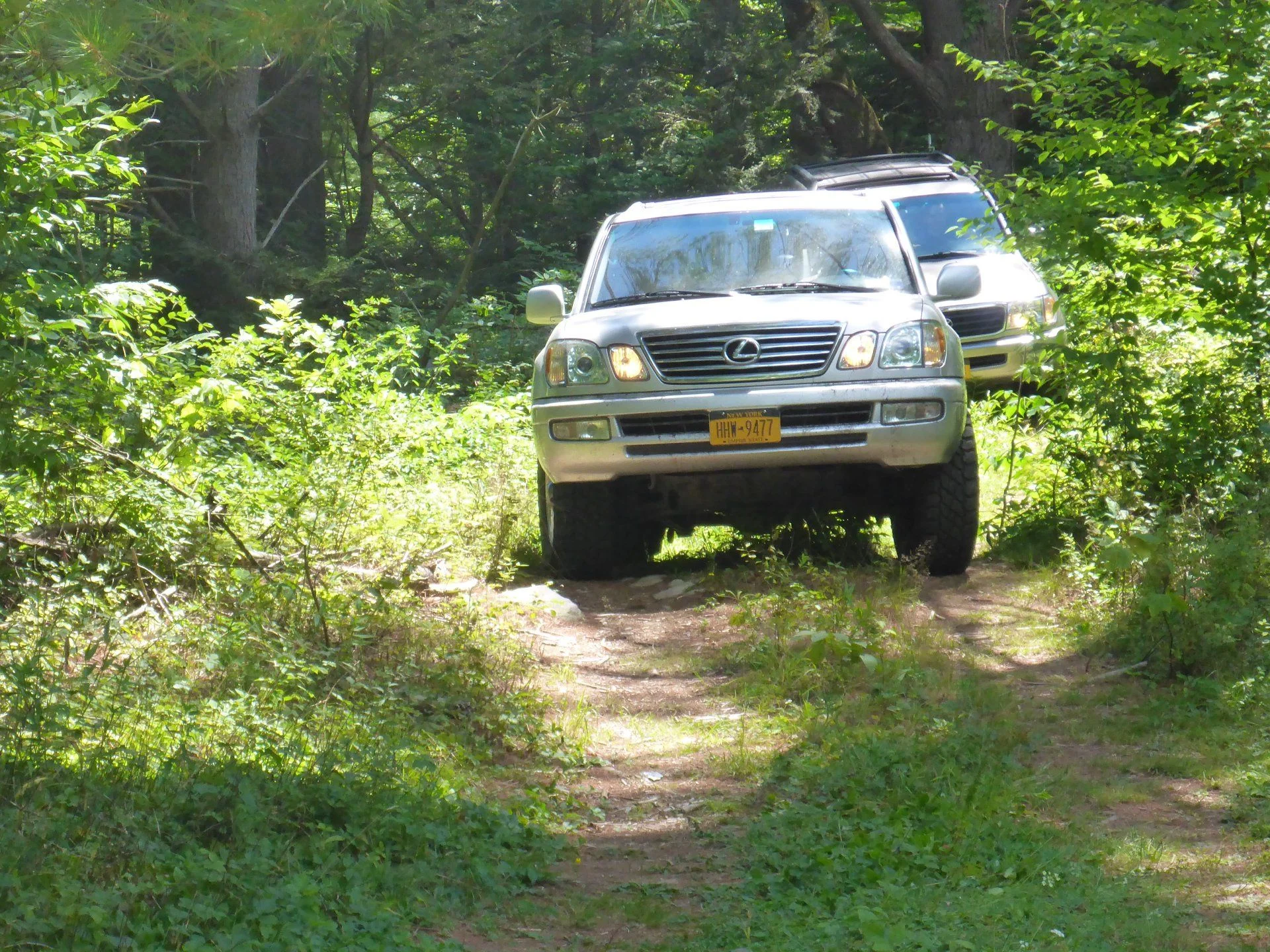 Trail Blip