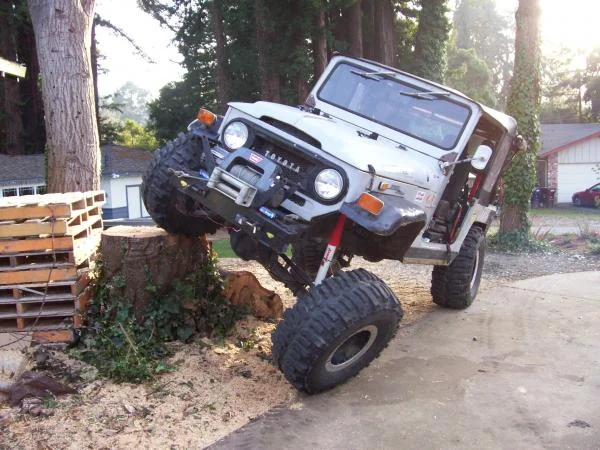 tree cutting 011