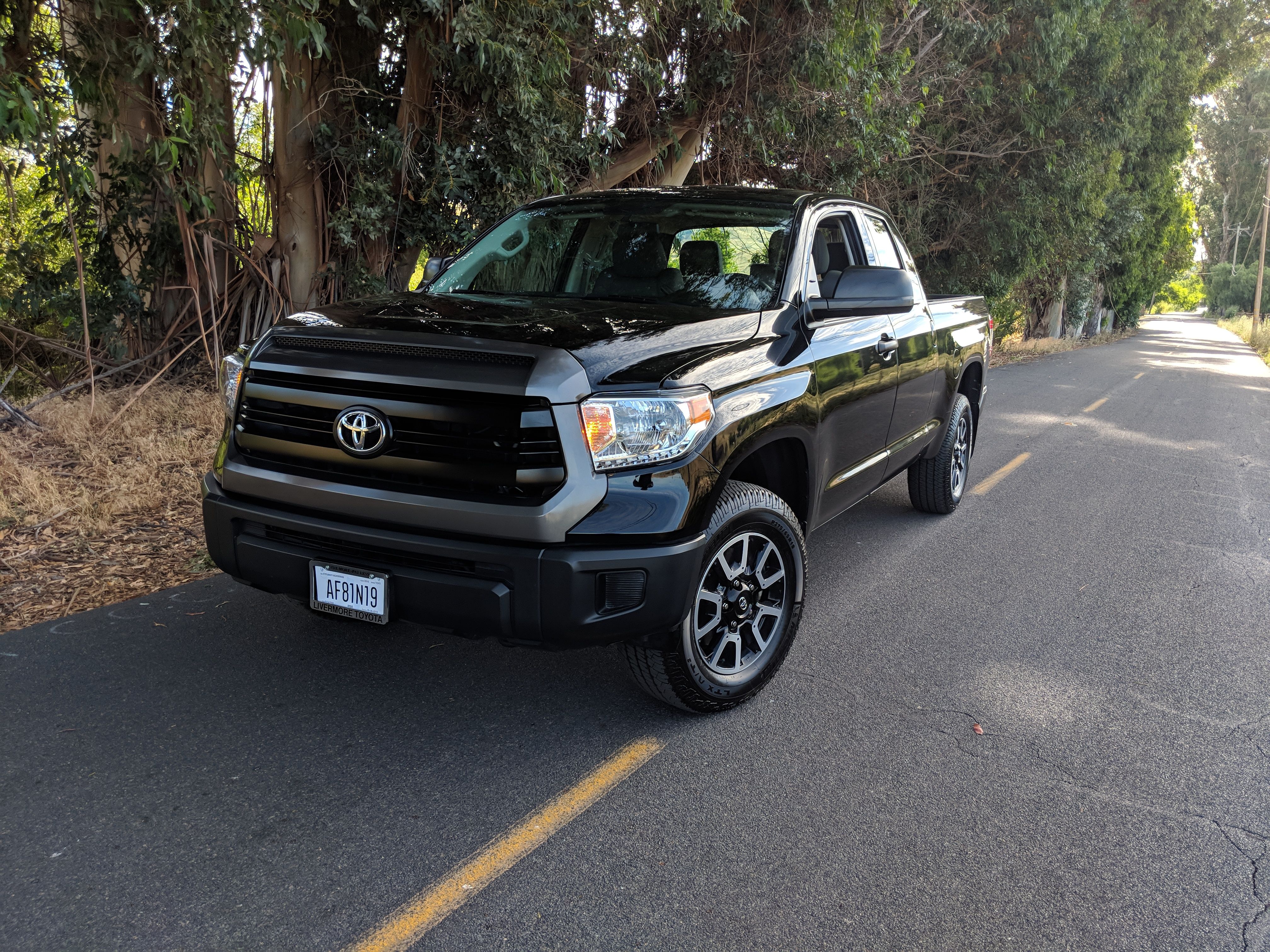 tundra
