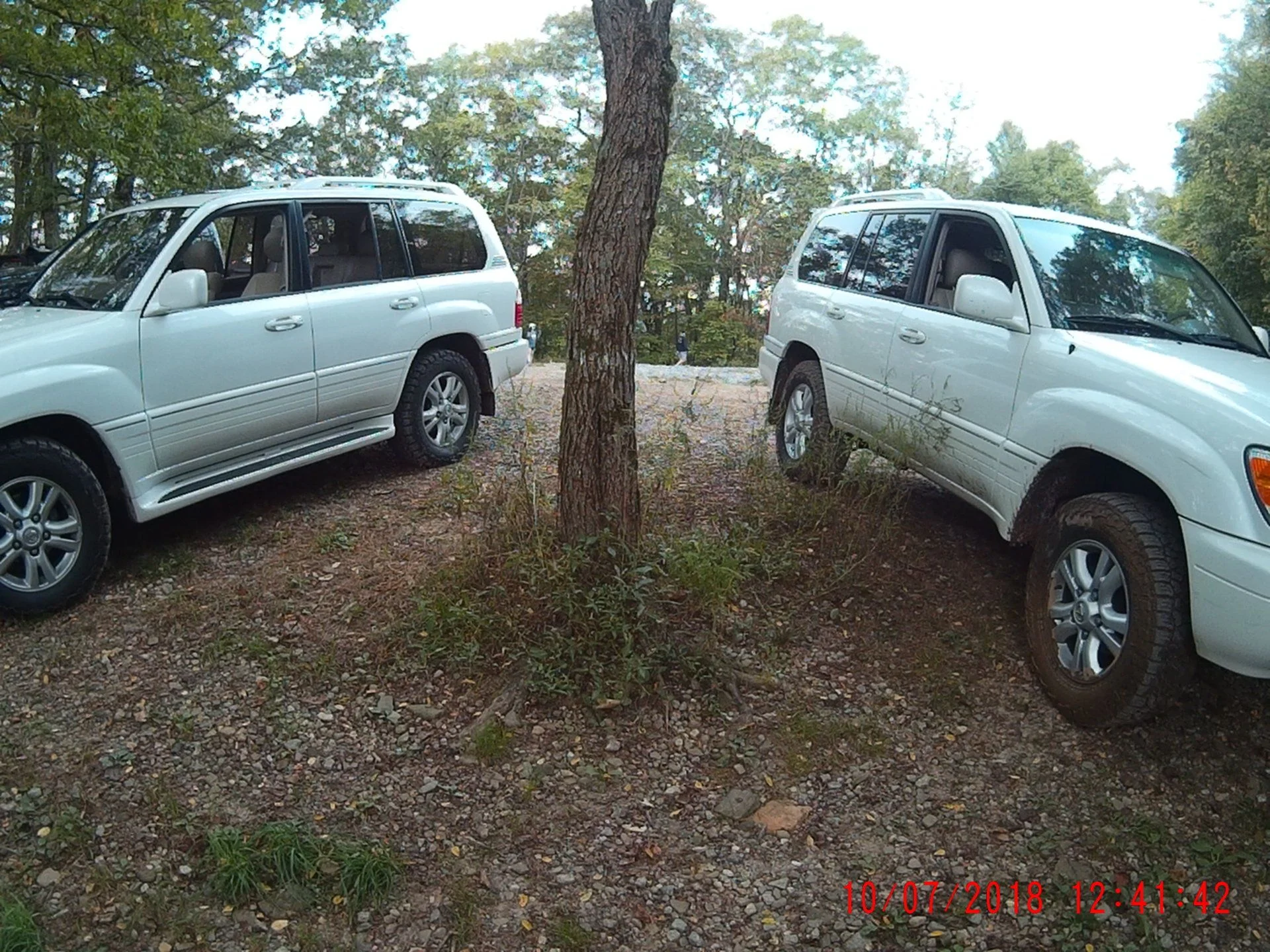 twins