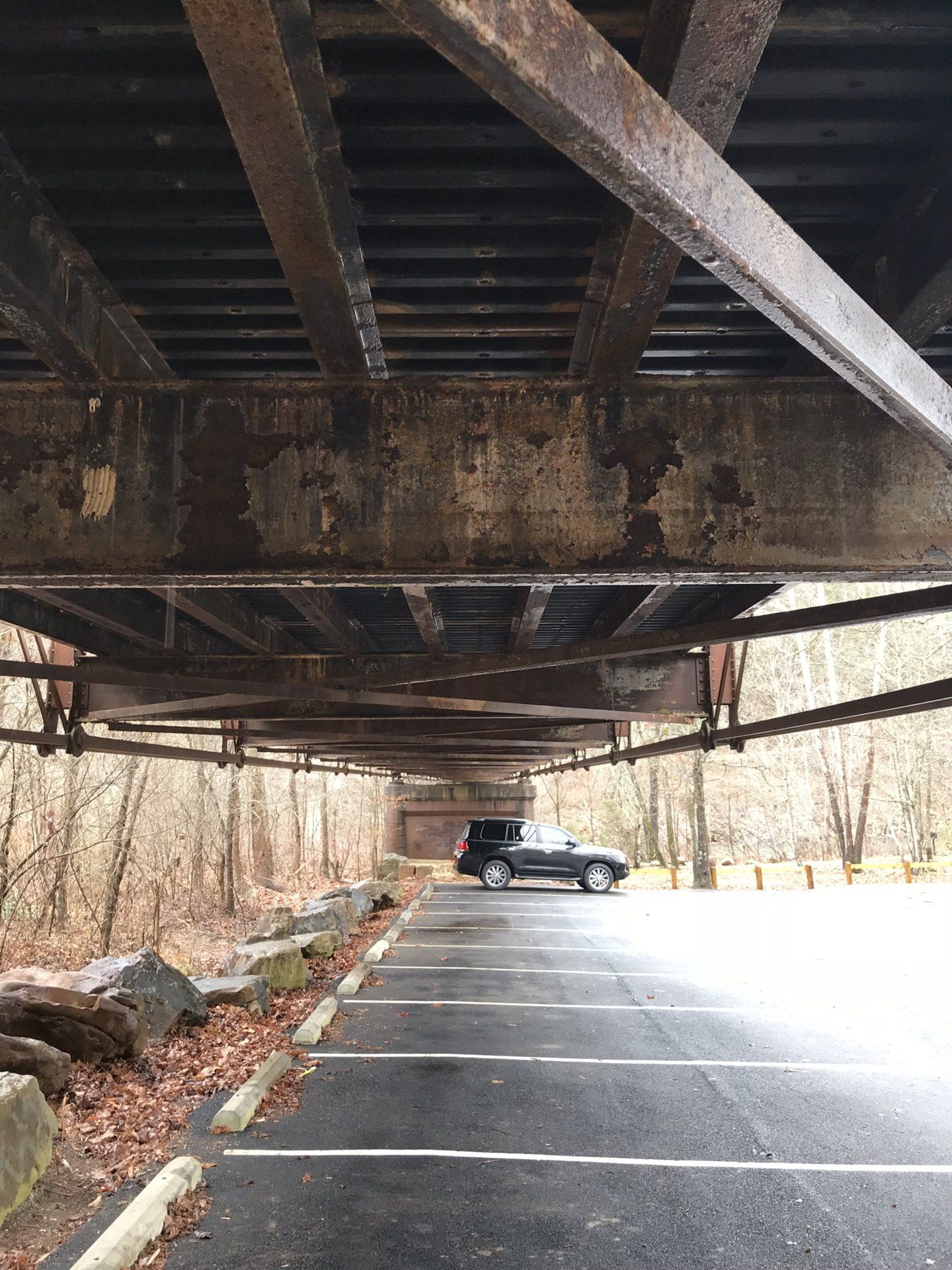 Under Nemo bridge