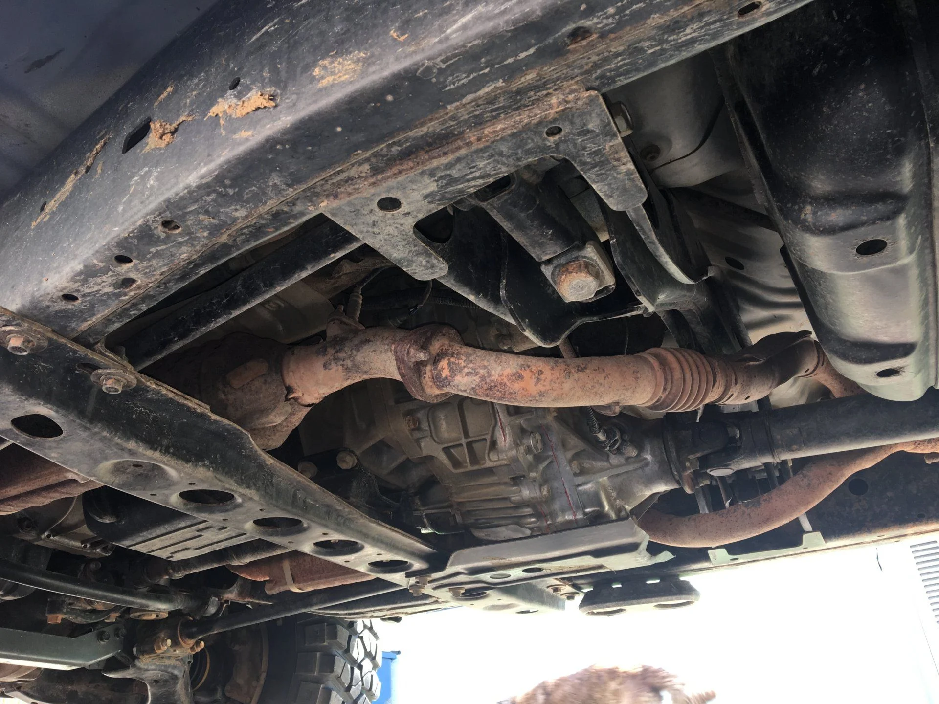 Undercarriage