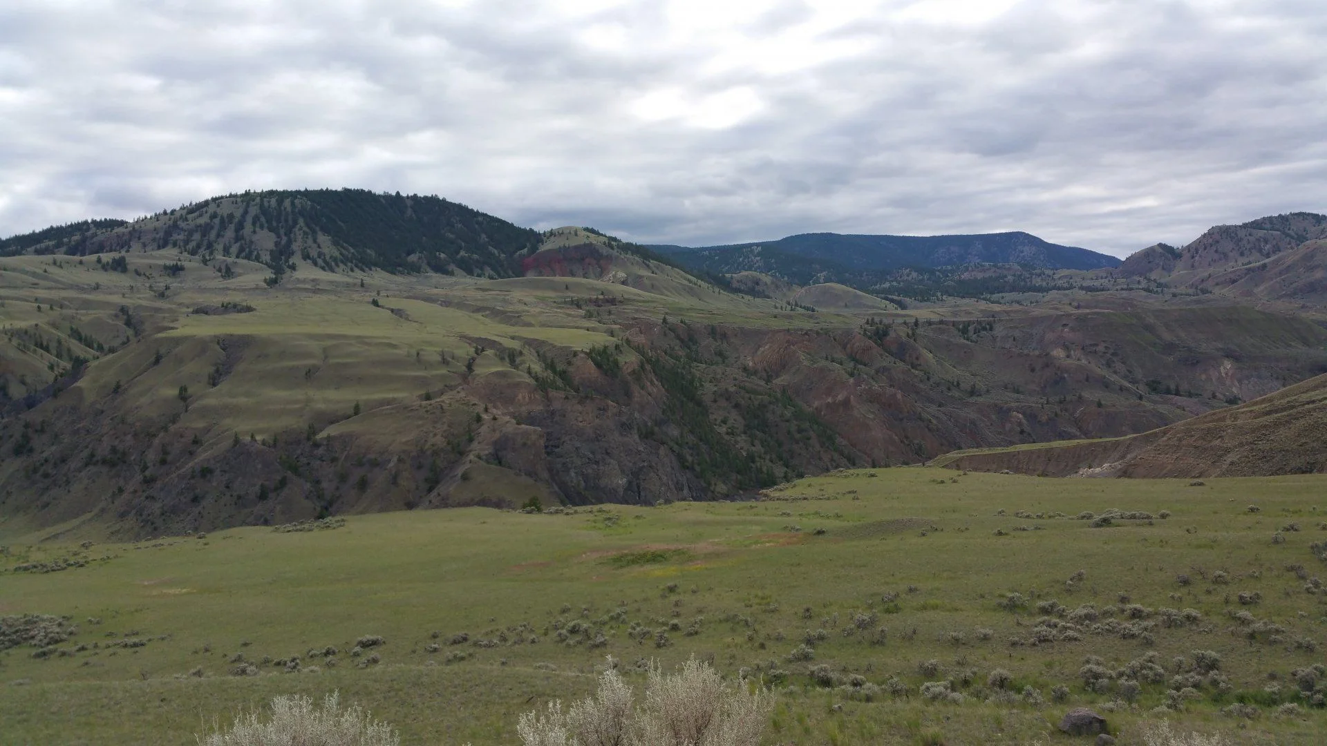 View as we approached Churn