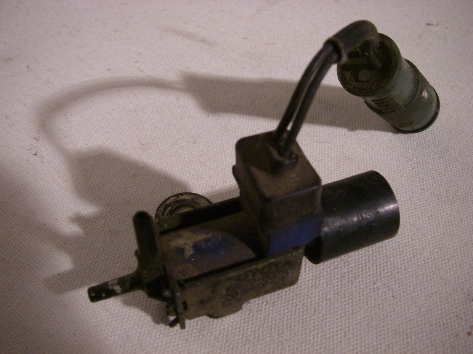 VSV (1)