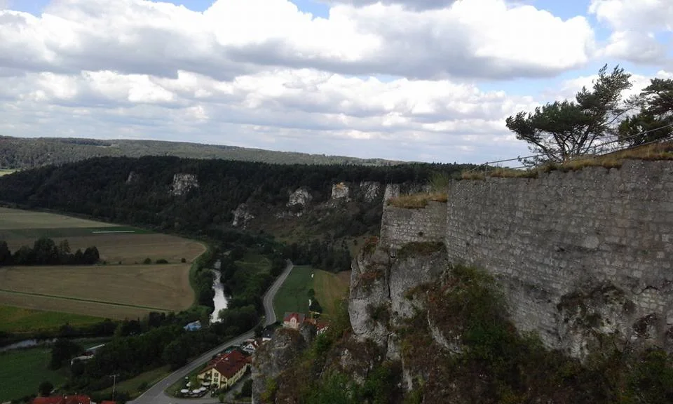 W-burg2