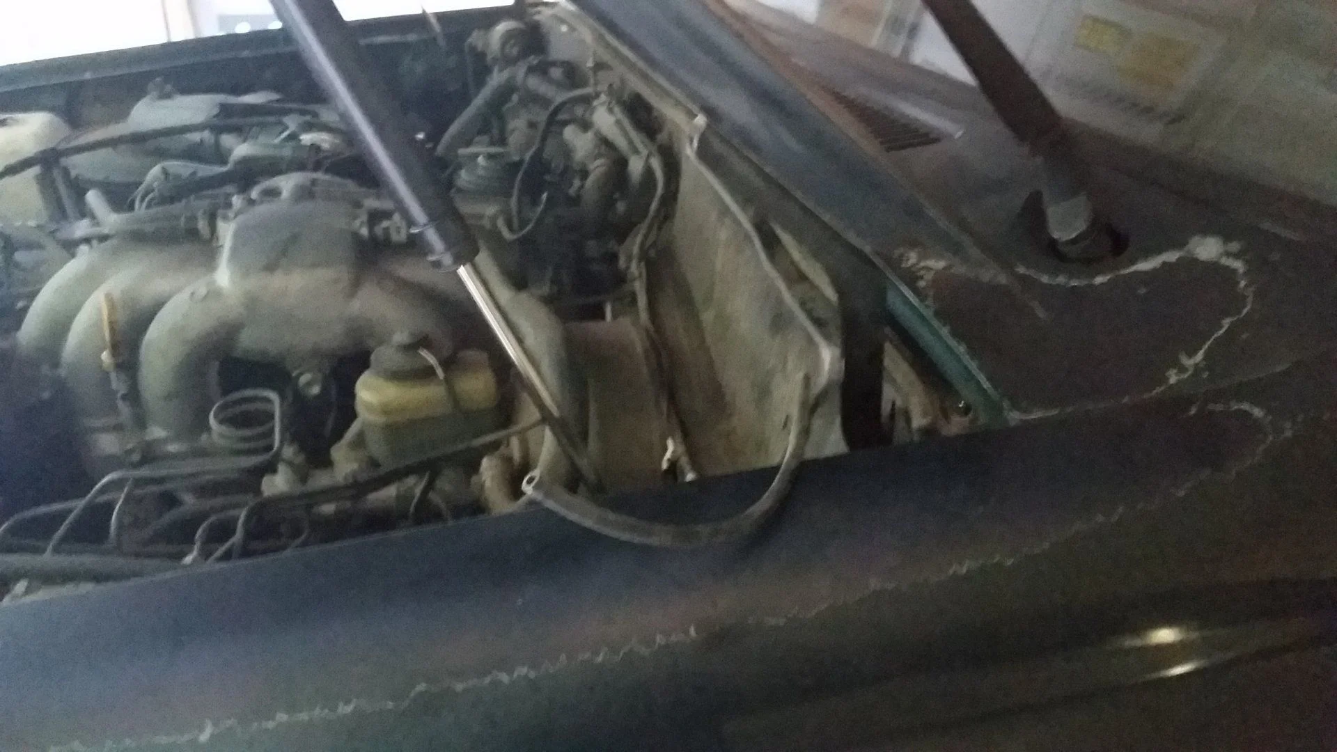 washer hose