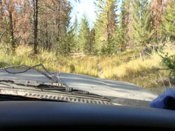 Wasley lake (85)