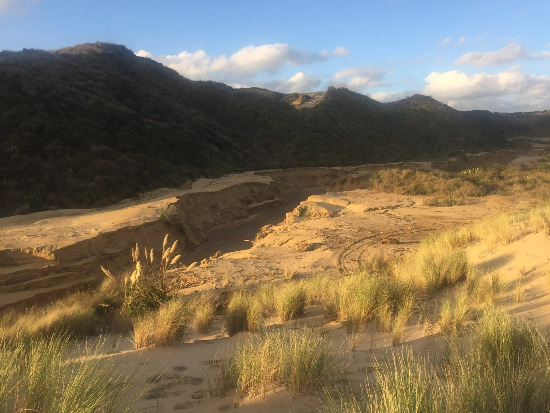 Where did all the sand go