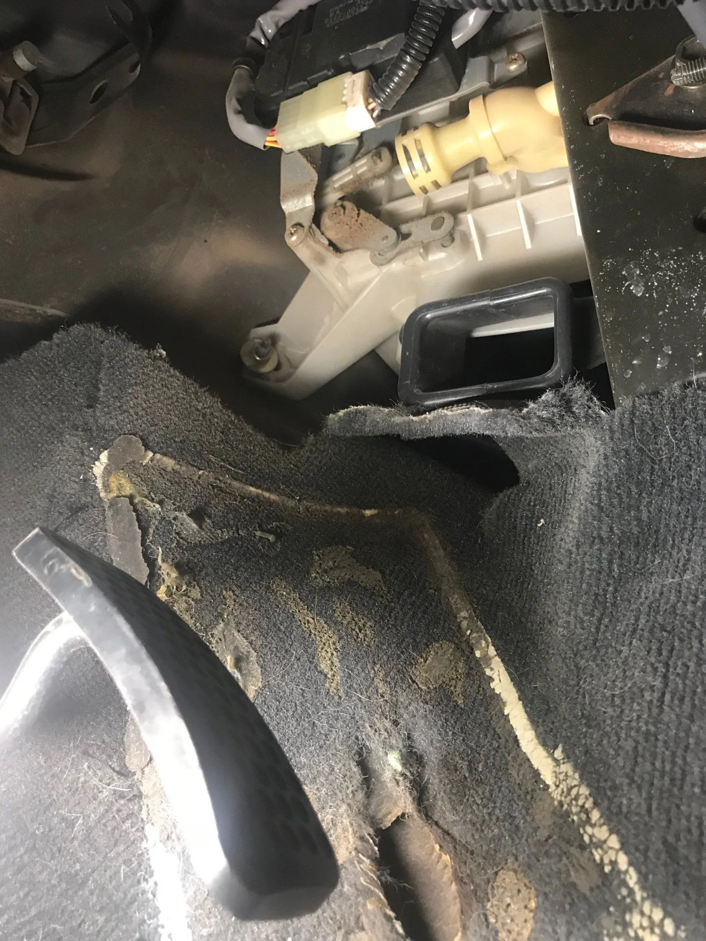 white box above gas pedal