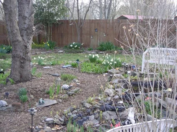 whiteshadowsgardens 002