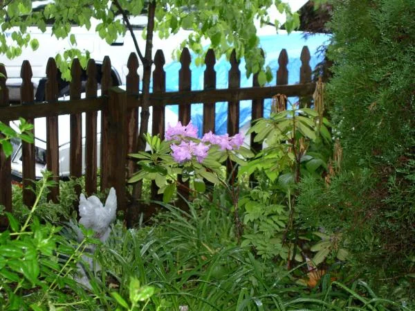 whiteshadowsgardens 011