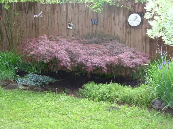 whiteshadowsgardens 026