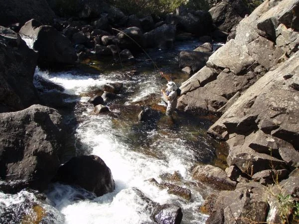 Wind Rivers