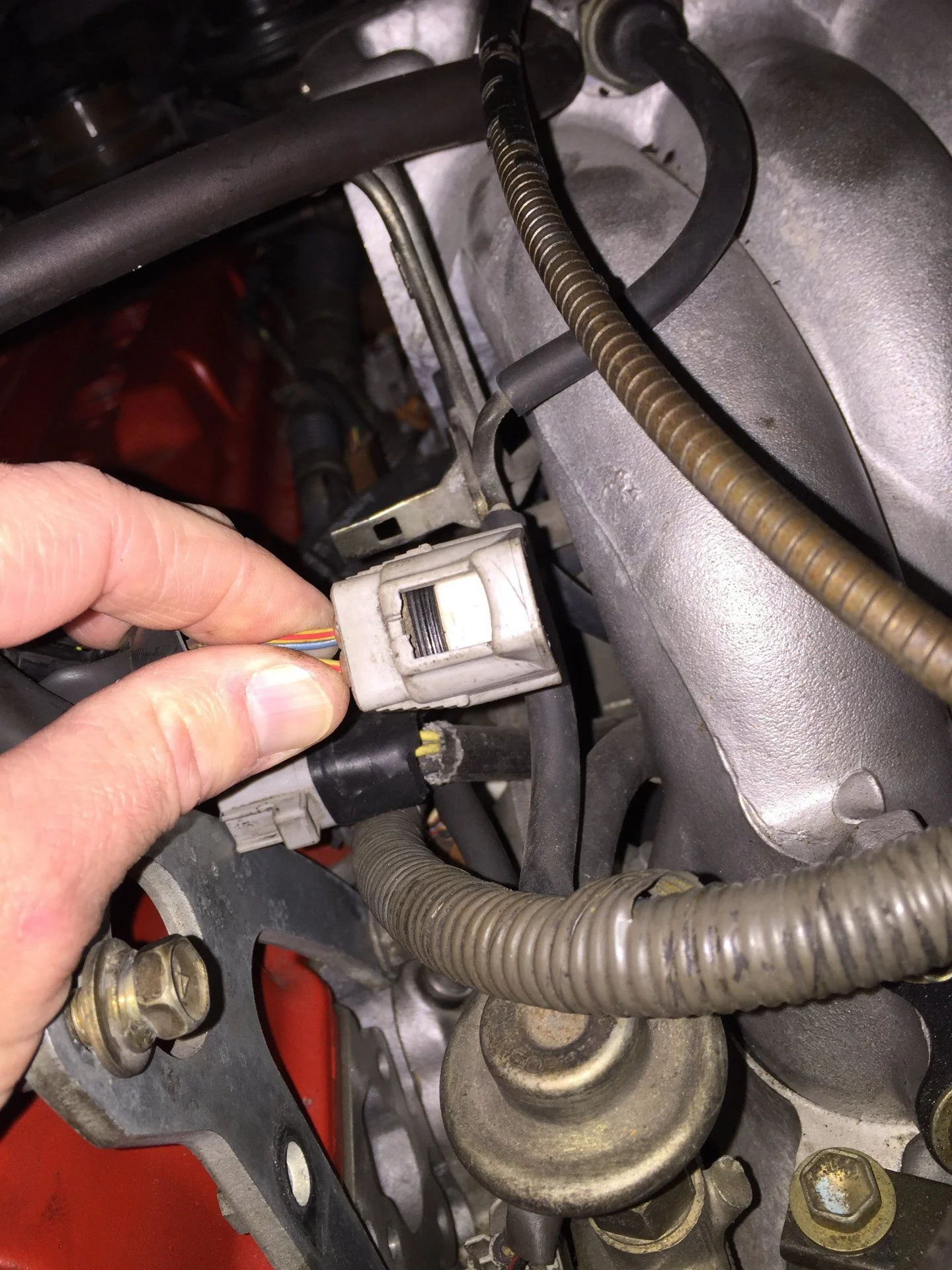 Wiring Harness | IH8MUD Forum