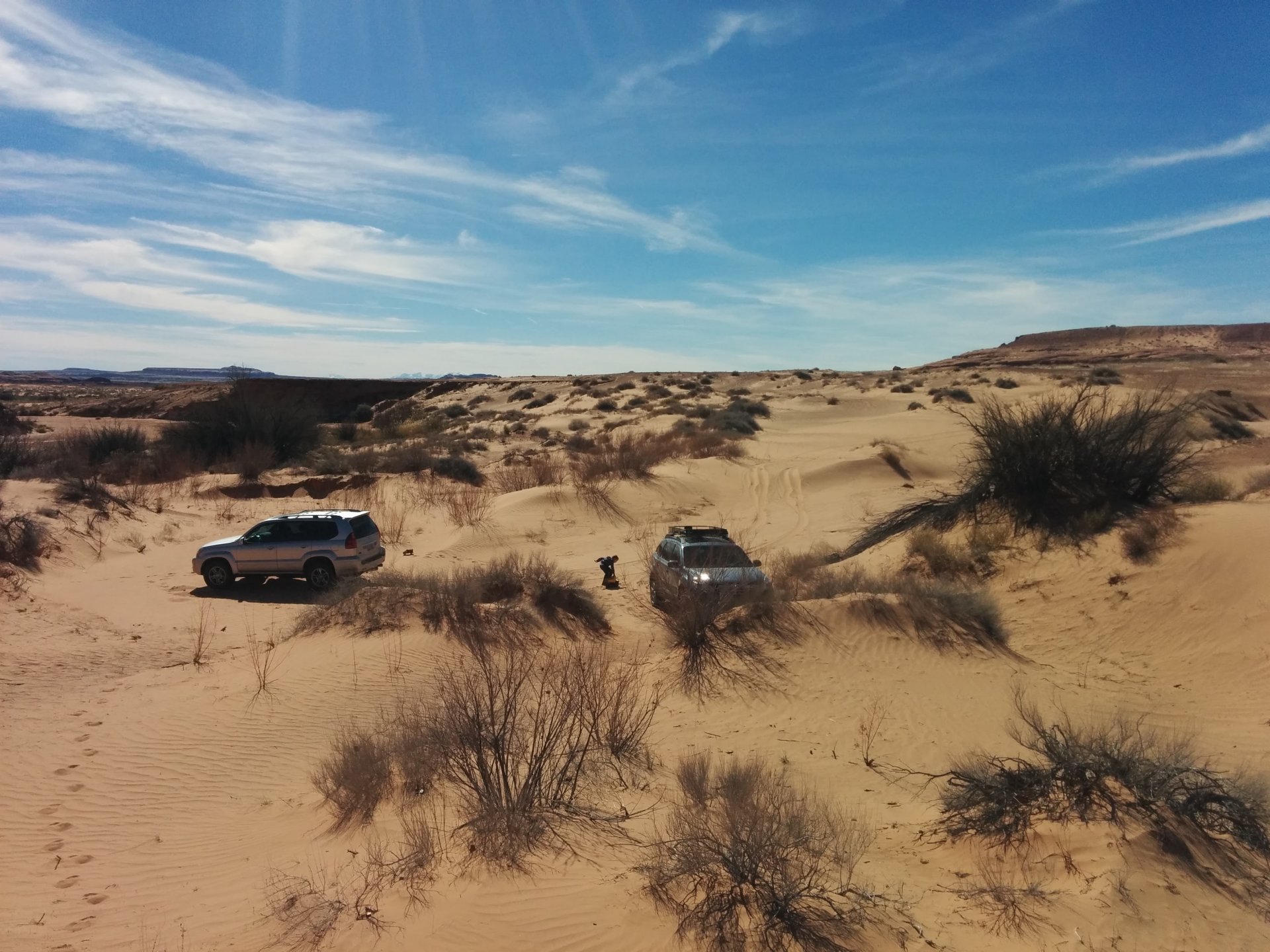 witewash sand dunes 3/7/17