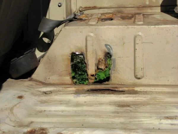 Yes. That's garden that you can see through the wheel well.