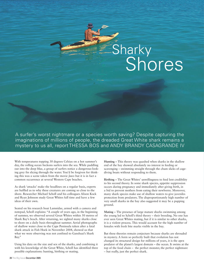 200511bigissuesharkyshores2.jpg