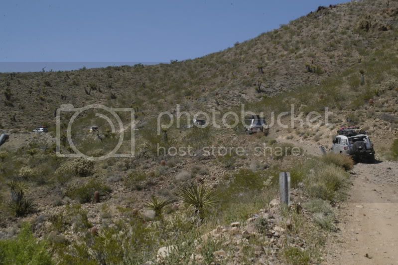DSC_0284.jpg