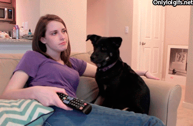 tumblr_mm931pYNQV1r3gb3zo1_400.gif